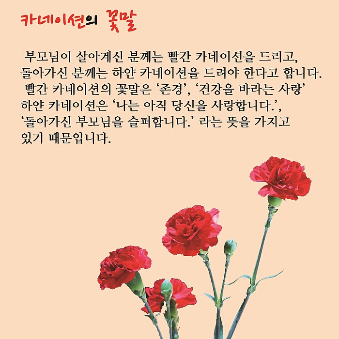 꾸미기_꾸미기_4.jpg