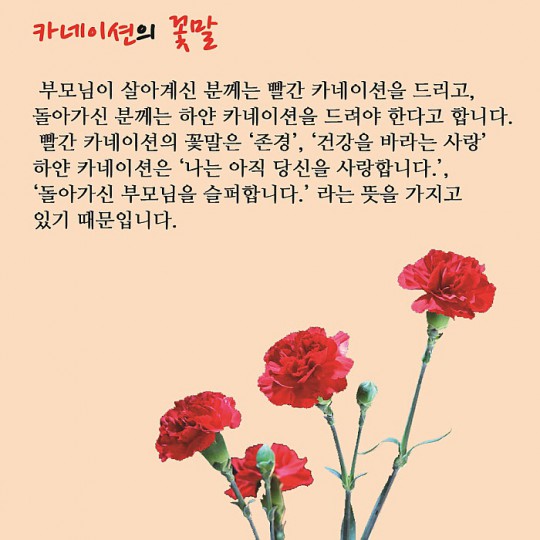 꾸미기_꾸미기_4.jpg